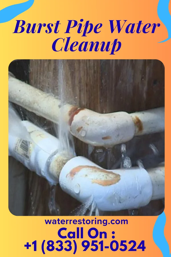 Burst Pipe Water Cleanup in Eagleview, PA