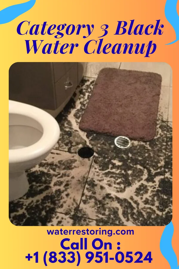 Category 3 Black Water Cleanup in Eagleview, PA