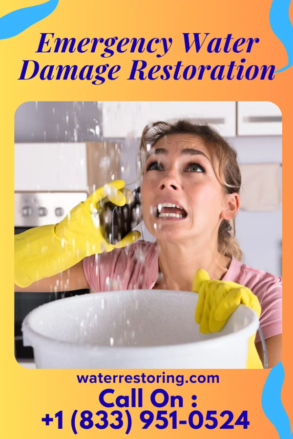 Emergency Water Damage Restoration in Eagleview, PA