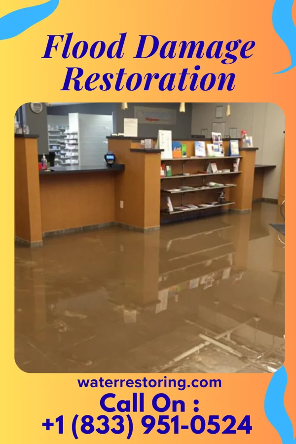 Flood Damage Restoration in Eagleview, PA