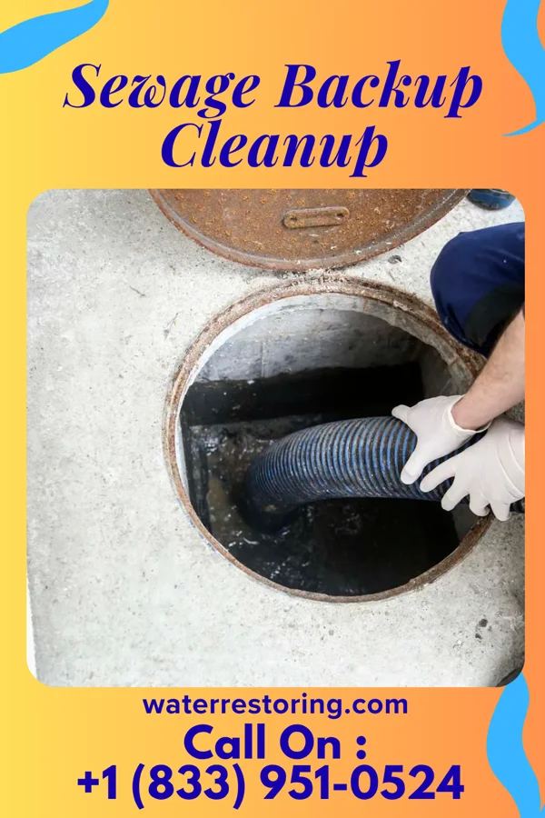 Sewage Backup Cleanup in Eagleview, PA
