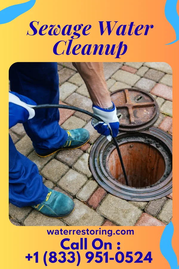 Sewage Water Cleanup in Eagleview, PA