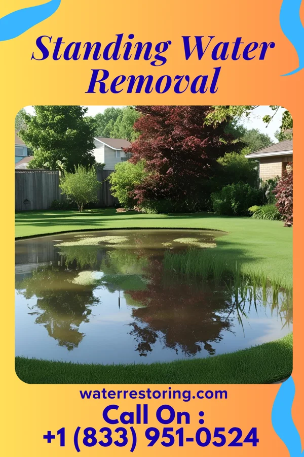 Standing Water Removal in Eagleview, PA